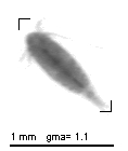 wp220100210_d2_1_2050