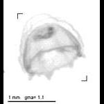 rg20100224_1_999