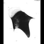 rg20101215_1_587