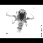 rg20101201_1_388