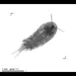 jb20101201_1_351