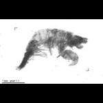 rg20101229_1_333