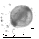 rg20110223_1_516