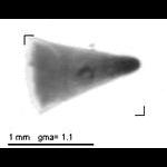 jb20110209_1_407