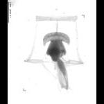 rg20110420_1_136