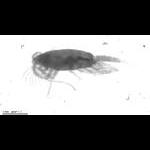 rg20110420_1_434