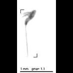 rg20110413_1_277