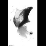 rg20110308_1_104