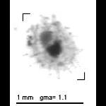 rg20110308_1_55
