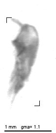 wp220110308_d1_1_174