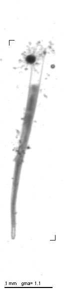 jb20111019_1_159