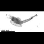 rg20120201_1_286