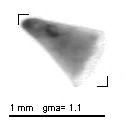 wp220120201_d2_1_221