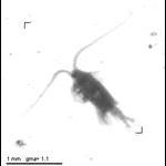 rg20090610_1_615