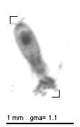 m159_1_480