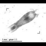 rg20090624_1_631
