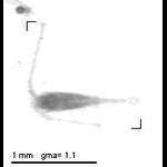 rg20080806_1_124