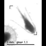 rg20081001_1_77