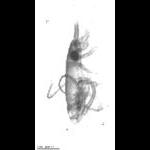 rg20090722_1_24