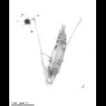 rg20090819_1_147