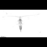 rg20090826_1_445
