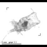 rg20080806_1_329