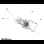 rg20090819_1_345