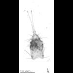 rg20080806_1_45