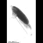 rg20080402_1_285