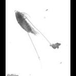 rg20090902_1_178