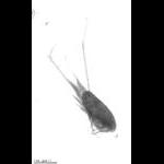 rg20090902_1_262