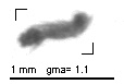m648_1_146