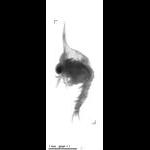rg20090902_1_165