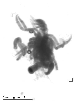 m029b_1_127