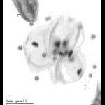 rg20090128_1_206