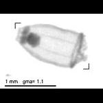 rg20090225_1_237