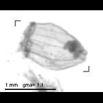 rg20090304_1_93
