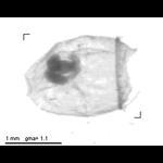 rg20090311_1_65