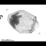 rg20090325_1_199
