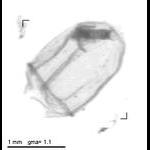 rg20090218_1_69