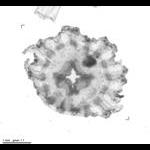rg20090617_1_554