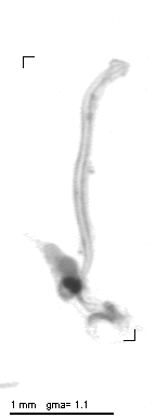 rg20090225_1_326