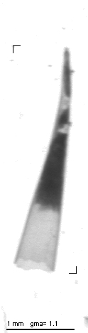 rg20090610_1_282