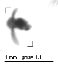 m201b_1_898