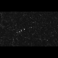 20040630_044314250_0