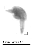 wp220120411_d1_1_205
