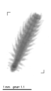 jb20120418_1_574