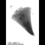 rg20120509_1_303
