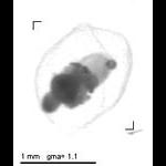 rg20120919_tot_1_21