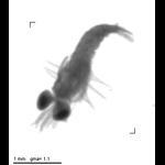 jb20120919_tot_1_617